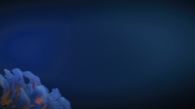 Color gamut and accuracy illustration for Xencelabs Pen Display 24+